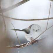 ヒメ日記 2026/03/06 08:00 投稿 ゆりこ 松本人妻隊