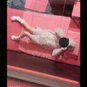 ヒメ日記 2024/12/28 09:15 投稿 みなみ MORE