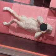 ヒメ日記 2025/02/12 17:45 投稿 みなみ MORE