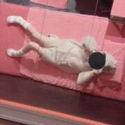 ヒメ日記 2025/02/24 08:25 投稿 みなみ MORE