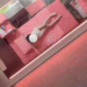 ヒメ日記 2025/05/11 08:55 投稿 みなみ MORE