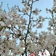 ヒメ日記 2026/04/03 17:15 投稿 みなみ MORE