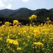 ヒメ日記 2025/09/29 23:13 投稿 あゆみ 梅田アバンチュール