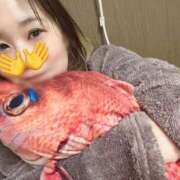 ヒメ日記 2026/02/23 11:01 投稿 いちか スピードエコ京橋店