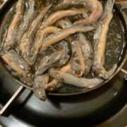 ヒメ日記 2025/06/08 00:36 投稿 いちか 快楽玉乱堂