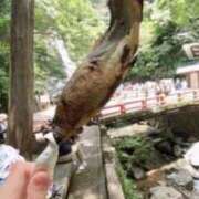 ヒメ日記 2025/07/19 10:26 投稿 いちか 快楽玉乱堂