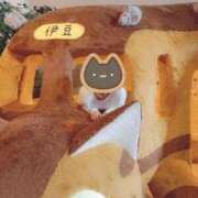 ヒメ日記 2025/10/22 18:36 投稿 いちか 快楽玉乱堂