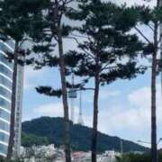 ヒメ日記 2026/09/05 11:06 投稿 いちか 快楽玉乱堂