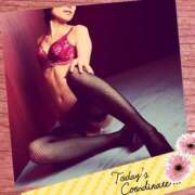 ヒメ日記 2025/10/14 09:48 投稿 りょう 横浜駅前M性感rooM