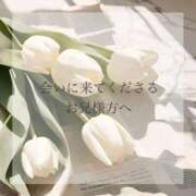 小春-Koharu- 会いに来てくださるお兄様方へ Aroma Bloom（アロマブルーム）