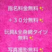 ヒメ日記 2024/03/07 09:02 投稿 あおい 大垣羽島安八ちゃんこ