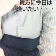 ヒメ日記 2025/05/08 08:09 投稿 あおい 大垣羽島安八ちゃんこ