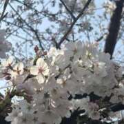 ヒメ日記 2025/03/30 16:53 投稿 菜乃香／なのか 大宮人妻セレブリティ（ユメオト）