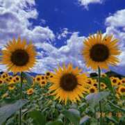 ヒメ日記 2025/08/19 07:30 投稿 まゆ　(Mayu) 出張メンズエステ RELAX【DIVAグループ】