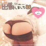 ヒメ日記 2025/04/28 12:18 投稿 たかつき 丸妻 厚木店