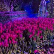 ヒメ日記 2025/10/29 23:26 投稿 たかつき 丸妻 厚木店