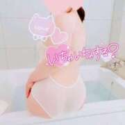 ヒメ日記 2025/12/12 01:44 投稿 たかつき 丸妻 厚木店