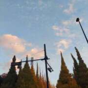 ヒメ日記 2025/11/16 19:39 投稿 たかさき 丸妻 厚木店