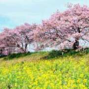 ヒメ日記 2026/03/21 17:20 投稿 たかさき 丸妻 厚木店