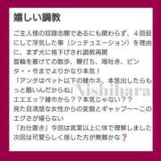 ヒメ日記 2024/12/17 13:00 投稿 にしはら 丸妻 厚木店