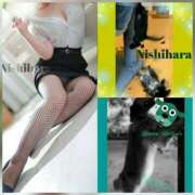 ヒメ日記 2025/04/29 09:12 投稿 にしはら 丸妻 厚木店