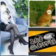 ヒメ日記 2025/05/29 15:18 投稿 にしはら 丸妻 厚木店