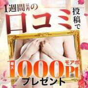 ヒメ日記 2025/04/27 14:18 投稿 あんず 丸妻 厚木店