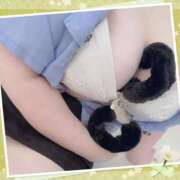 ヒメ日記 2025/05/29 09:18 投稿 あんず 丸妻 厚木店