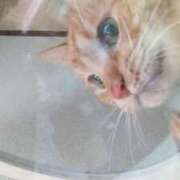 ヒメ日記 2025/06/14 11:03 投稿 あんず 丸妻 厚木店