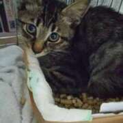 ヒメ日記 2025/07/07 23:36 投稿 あんず 丸妻 厚木店