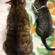 ヒメ日記 2025/07/09 13:06 投稿 あんず 丸妻 厚木店