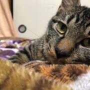 ヒメ日記 2025/07/13 19:39 投稿 あんず 丸妻 厚木店