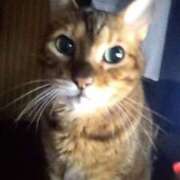 ヒメ日記 2025/07/18 01:45 投稿 あんず 丸妻 厚木店