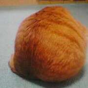 ヒメ日記 2025/07/18 13:18 投稿 あんず 丸妻 厚木店