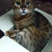 ヒメ日記 2025/07/19 16:37 投稿 あんず 丸妻 厚木店