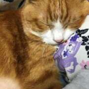 ヒメ日記 2025/07/23 18:03 投稿 あんず 丸妻 厚木店