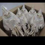 ヒメ日記 2025/09/22 11:04 投稿 あんず 丸妻 厚木店