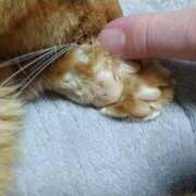 ヒメ日記 2026/01/24 10:58 投稿 あんず 丸妻 厚木店