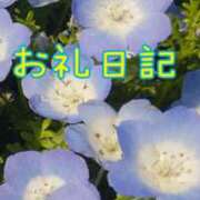 ヒメ日記 2026/04/12 03:26 投稿 あんず 丸妻 厚木店