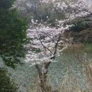 ヒメ日記 2026/04/28 12:07 投稿 あんず モアグループ丸妻厚木店
