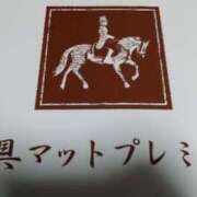 ヒメ日記 2026/05/10 12:16 投稿 あんず モアグループ丸妻厚木店