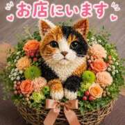 ヒメ日記 2026/08/30 17:33 投稿 あんず モアグループ丸妻厚木店