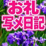 あんず ８日のお礼 モアグループ丸妻厚木店