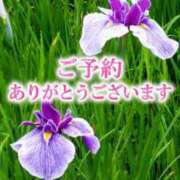 ヒメ日記 2026/10/08 16:23 投稿 あんず モアグループ丸妻厚木店