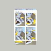 ヒメ日記 2026/01/09 21:11 投稿 はなさき 丸妻 厚木店