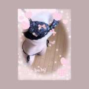 ヒメ日記 2026/01/19 00:00 投稿 はなさき 丸妻 厚木店