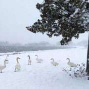 ヒメ日記 2026/01/15 16:27 投稿 みやべ 丸妻 厚木店