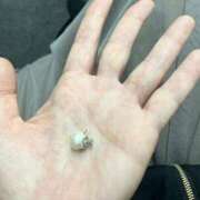 ヒメ日記 2025/04/25 17:48 投稿 にいがき 丸妻 厚木店