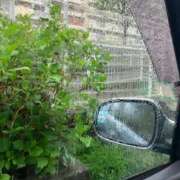 ヒメ日記 2025/05/02 16:33 投稿 にいがき 丸妻 厚木店