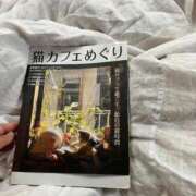 ヒメ日記 2025/05/04 11:03 投稿 にいがき 丸妻 厚木店